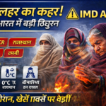 ChatGPT Image Jan 4, 2026, 11_42_00 AM